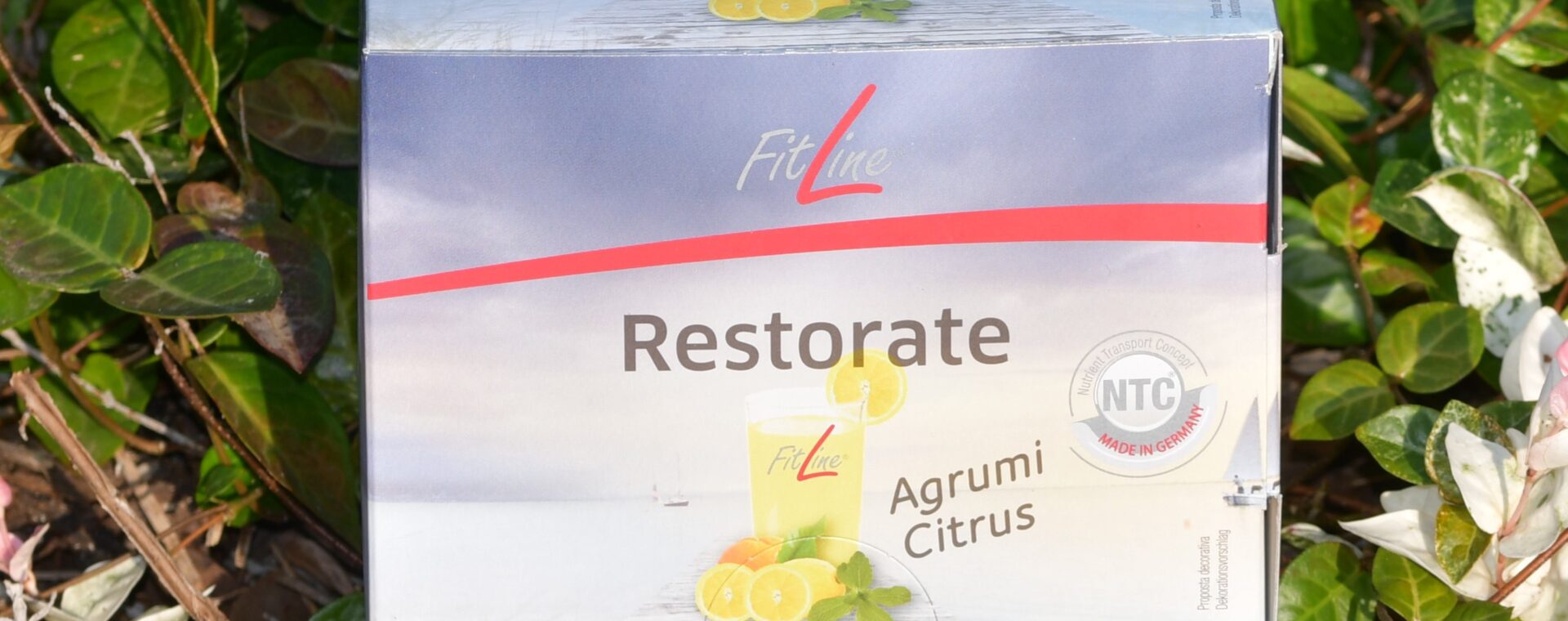 restorate fitline