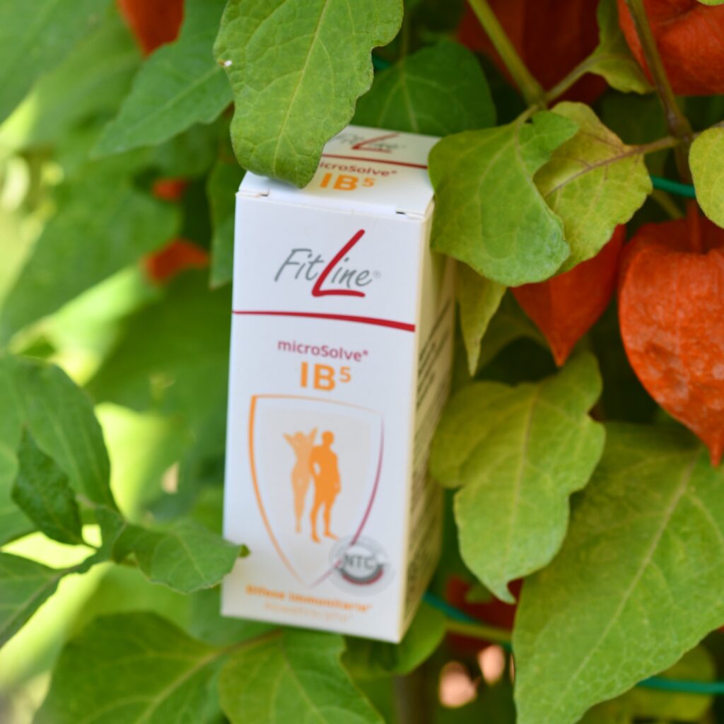 ib5 fitline