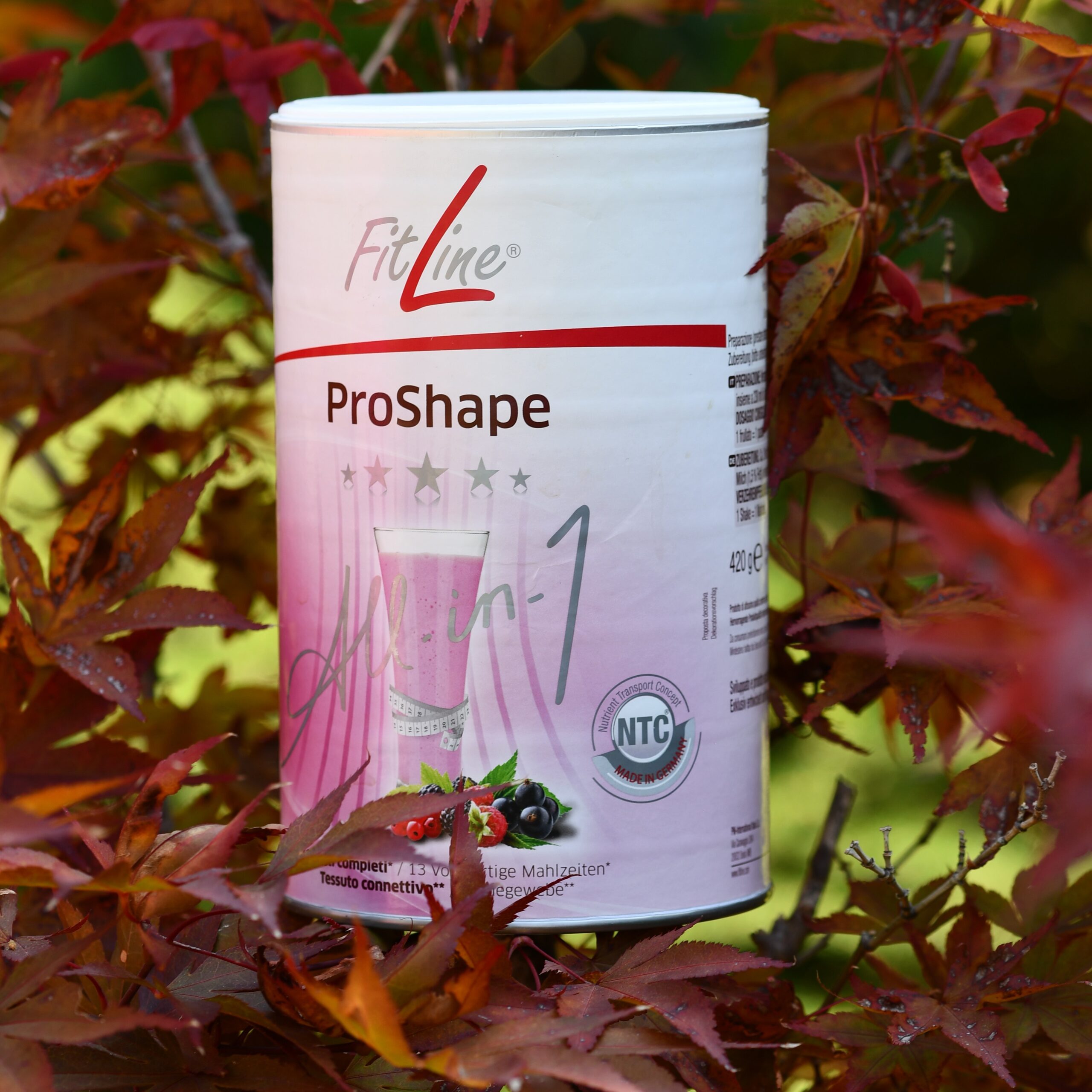 proshape pasto sostitutivo filine frutti di bosco