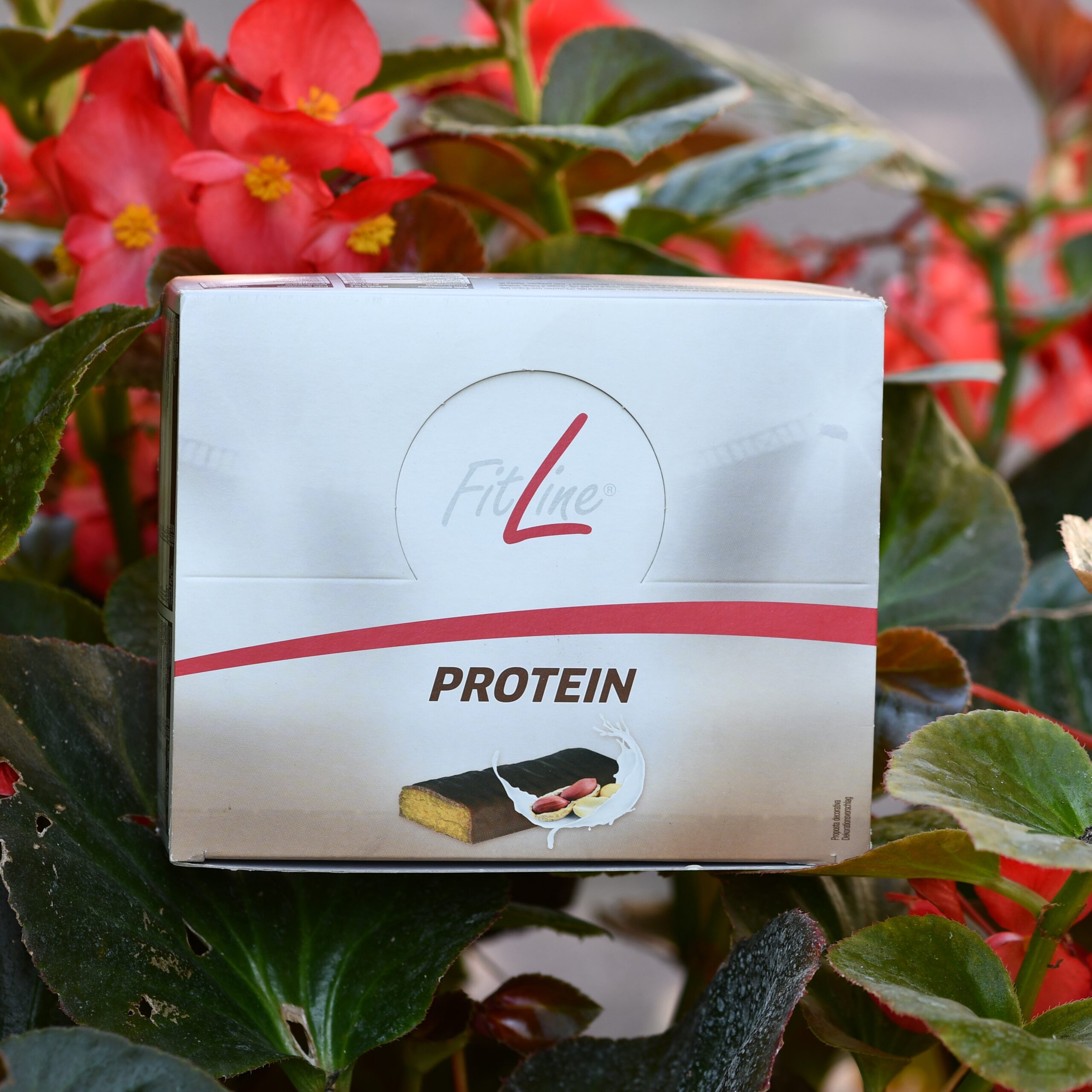 protein fitline barrette proteiche