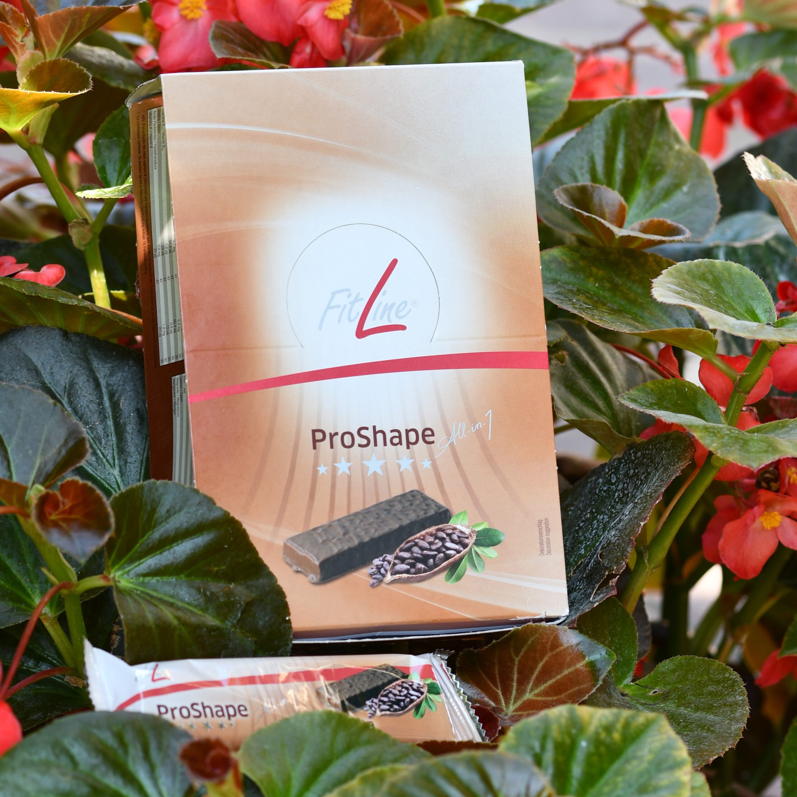 choco slim proshape2go filine barrette pasto sostitutivo