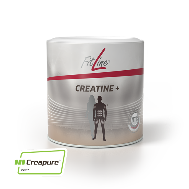 creatina creatine plus fitline